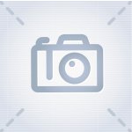 Роза Эквадор в ассортименте