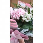 Букет &laquo;Прованс&raquo;